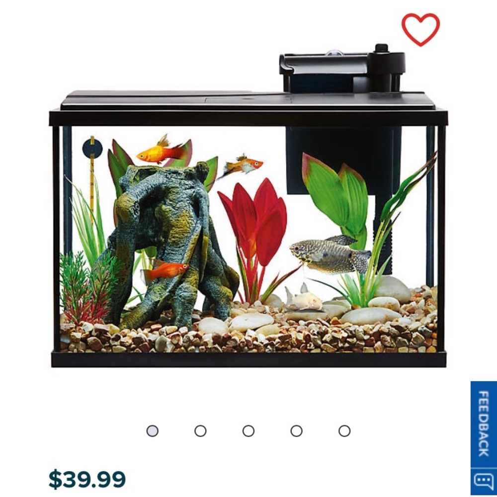 TopFin 5 Gallon Tank